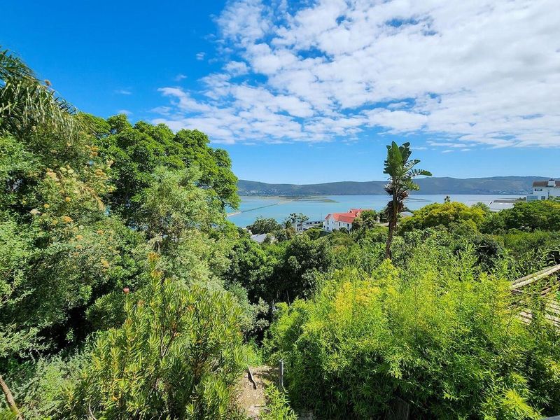 Apartment To Rent in Knysna - Photo 6