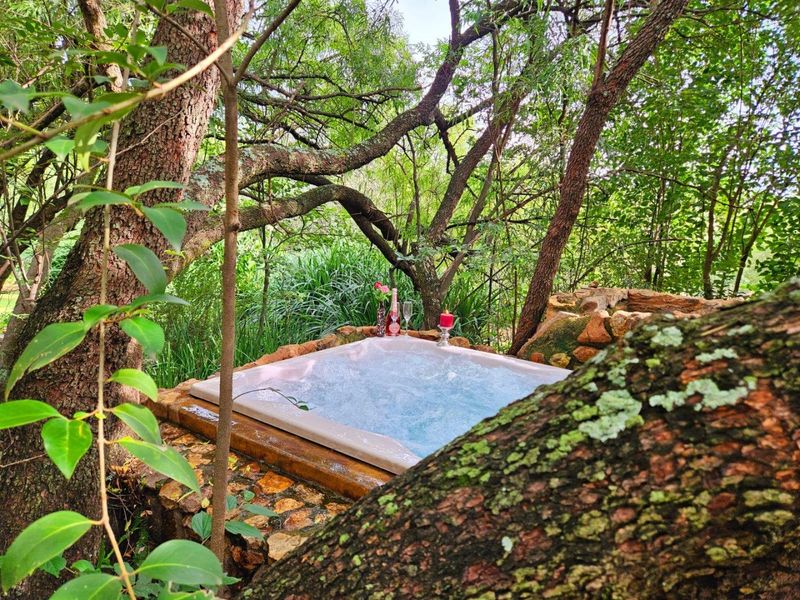 Exquisite 5-Hectare Guest Farm in the Crocodile River Reserve Lanseria - Photo 1