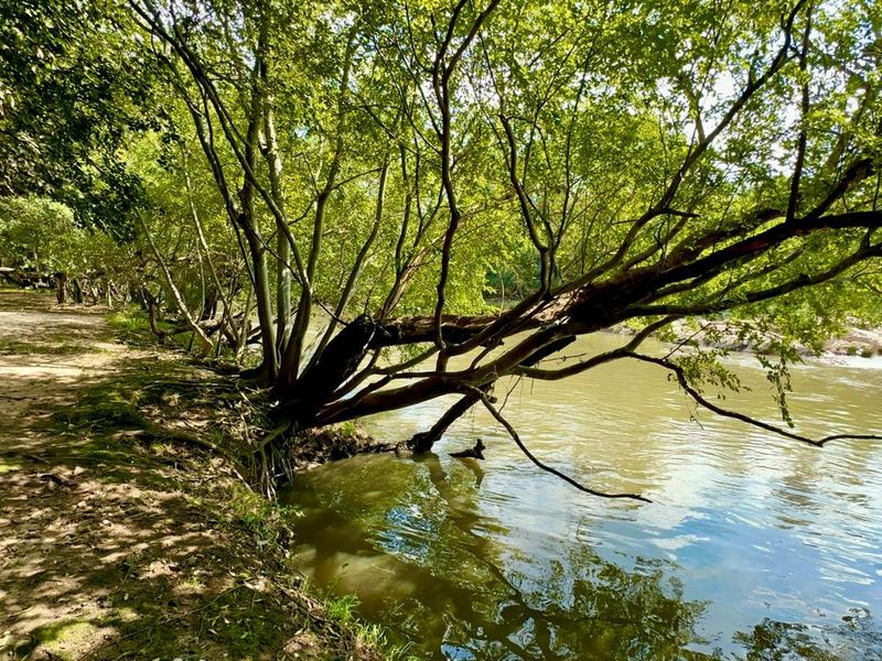 Exquisite 5-Hectare Guest Farm in the Crocodile River Reserve Lanseria - Photo 4