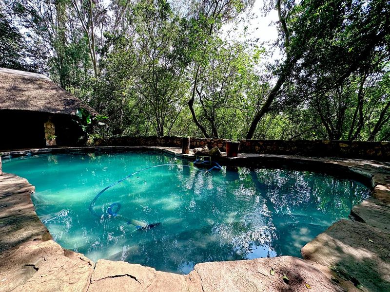 Exquisite 5-Hectare Guest Farm in the Crocodile River Reserve Lanseria - Photo 5