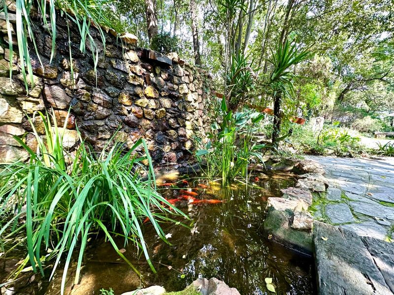 Exquisite 5-Hectare Guest Farm in the Crocodile River Reserve Lanseria - Photo 3