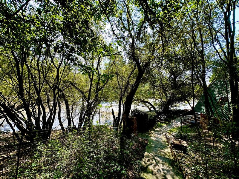 Exquisite 5-Hectare Guest Farm in the Crocodile River Reserve Lanseria - Photo 10