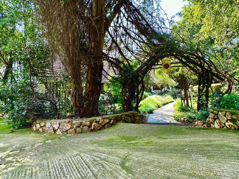 Exquisite 5-Hectare Guest Farm in the Crocodile River Reserve Lanseria - Photo 8