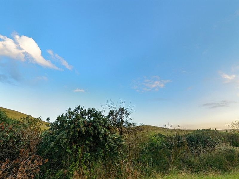 A scenic view of the natural landscape featuring rolling hills and native vegetation under a clear blue sky.