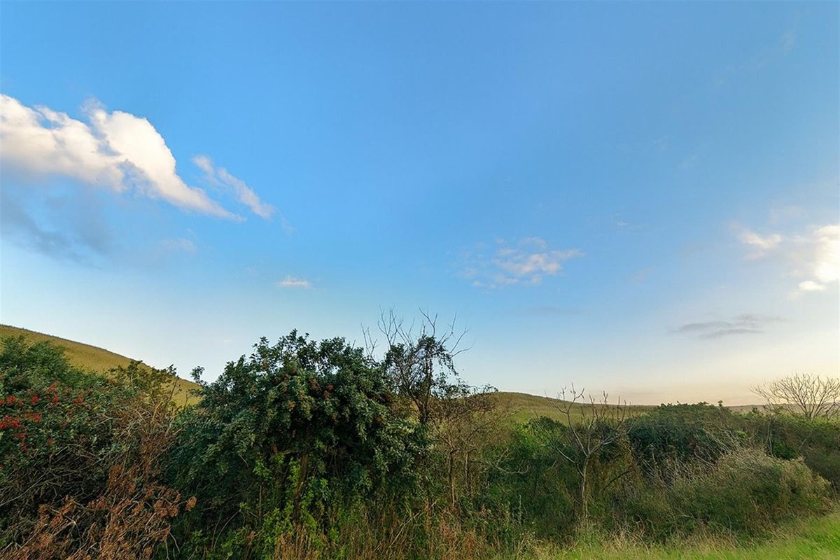 A scenic view of the natural landscape featuring rolling hills and native vegetation under a clear blue sky.