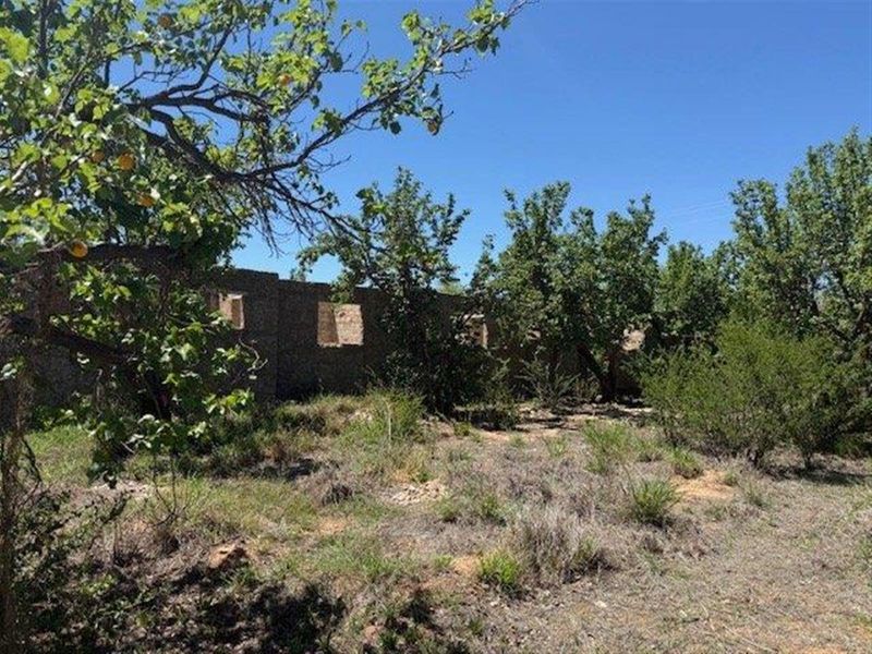 House For Sale in Calitzdorp - Photo 9