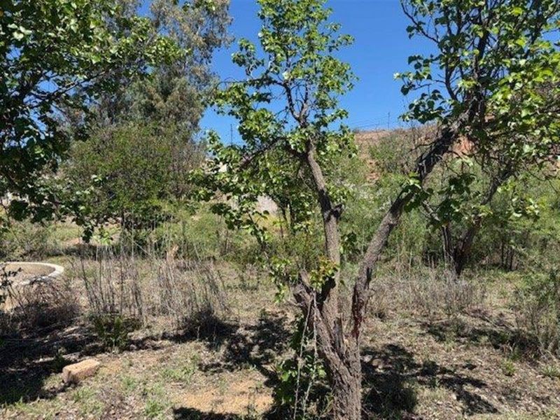 House For Sale in Calitzdorp - Photo 6