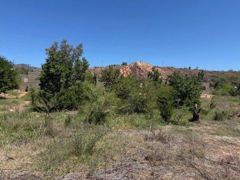 Vacant Land For Sale in Calitzdorp - Photo 6