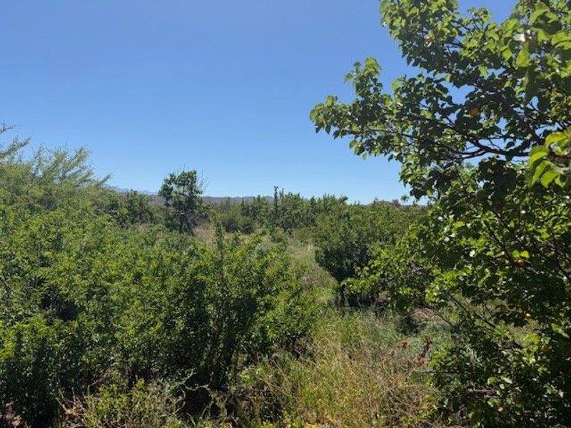Vacant Land For Sale in Calitzdorp - Photo 4