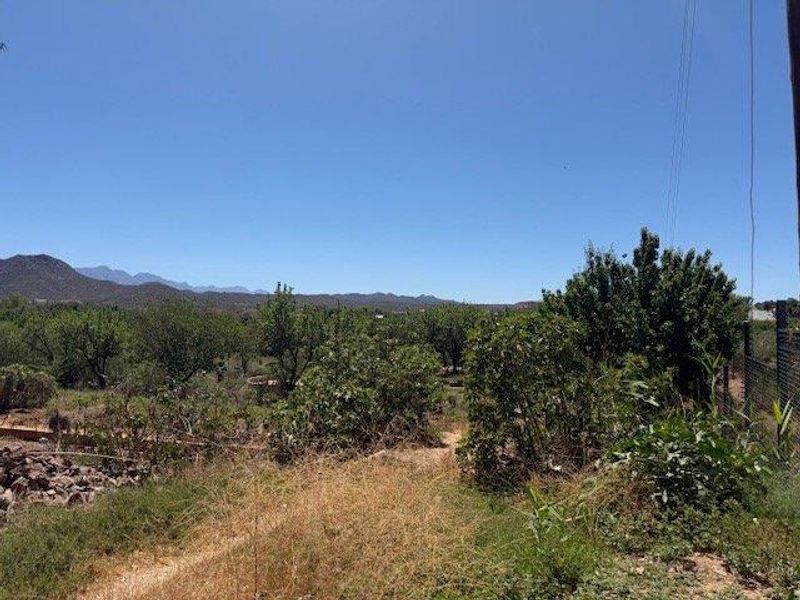 Vacant Land For Sale in Calitzdorp - Photo 9