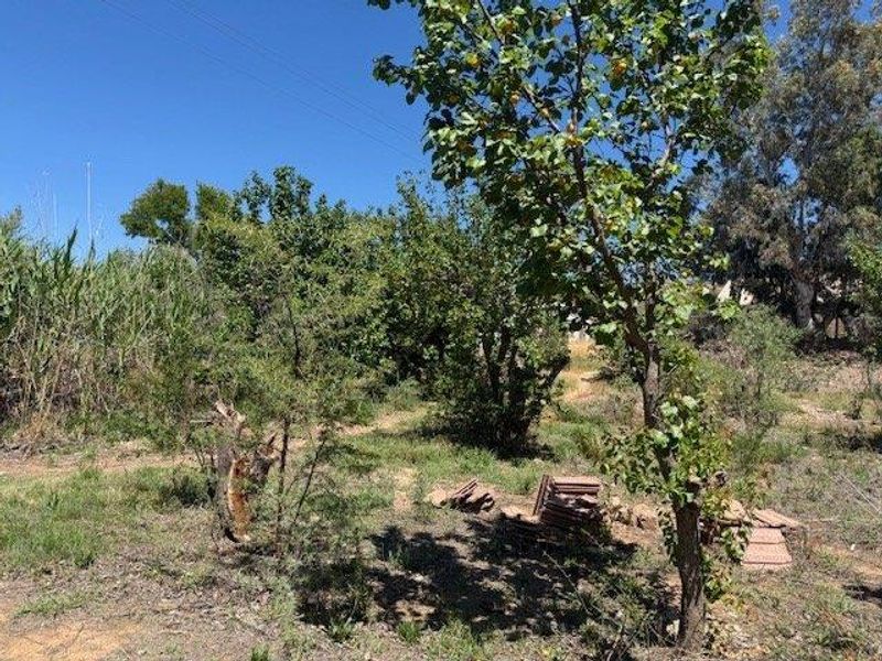 Vacant Land For Sale in Calitzdorp - Photo 8