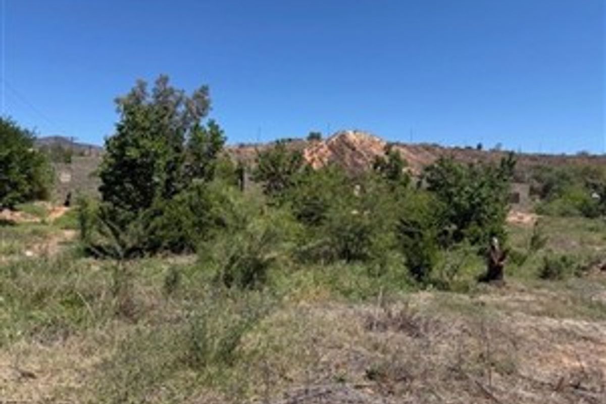 A view of the vacant residential land featuring natural vegetation and a boundary wall in the background.
