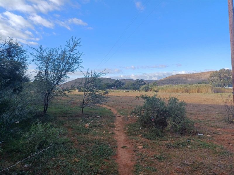 A view of the vacant residential land featuring natural vegetation, a dirt path, and distant hills under a clear blue sky.