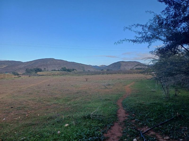 A scenic view of the open residential land featuring natural vegetation and distant mountain ranges.