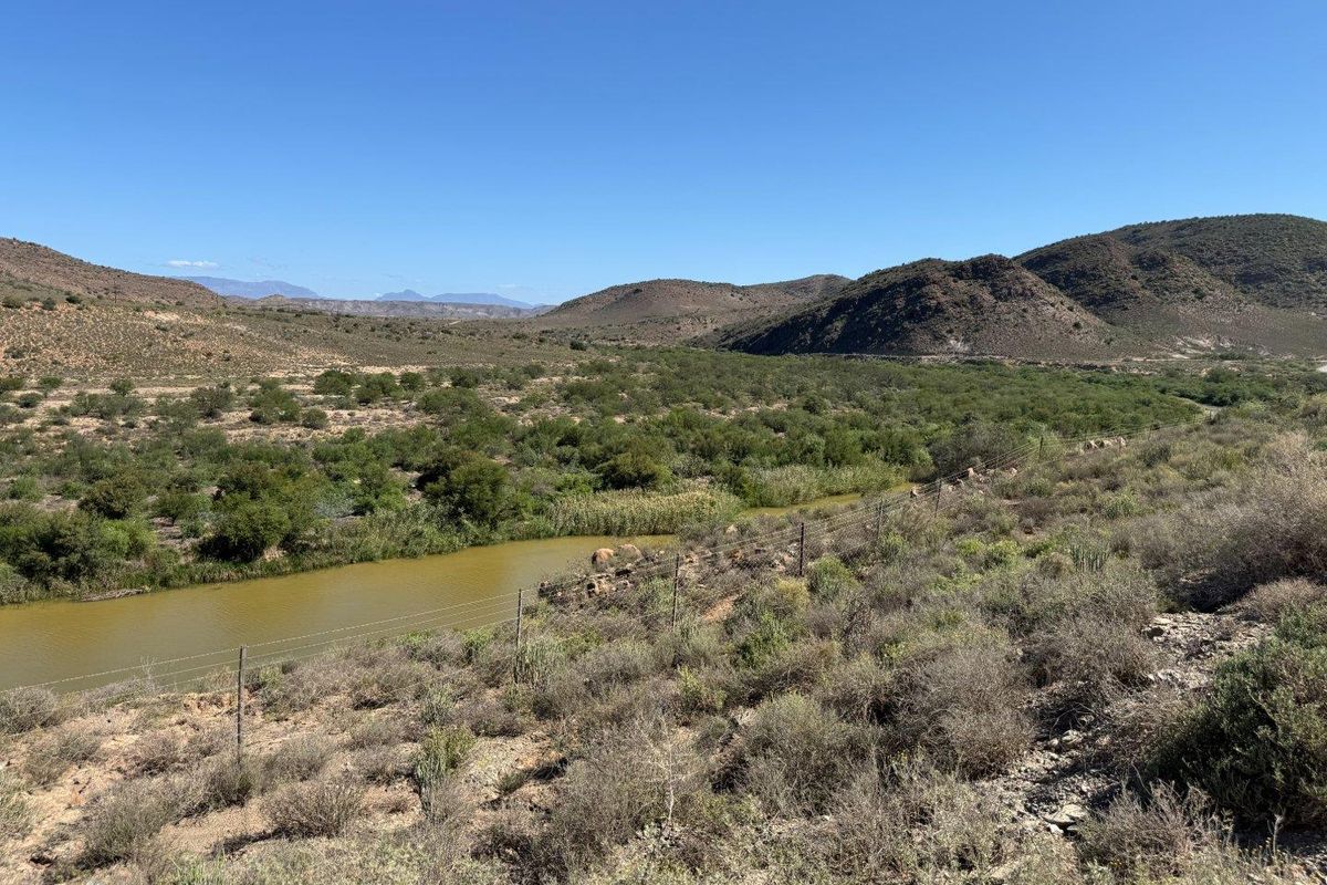 Farm For Sale in Van Wyksdorp, Ladismith - Photo 4