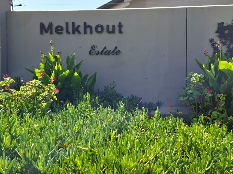 Contemporary Coastal Elegance  Brand-New Home in Melkhout Estate - Photo 3
