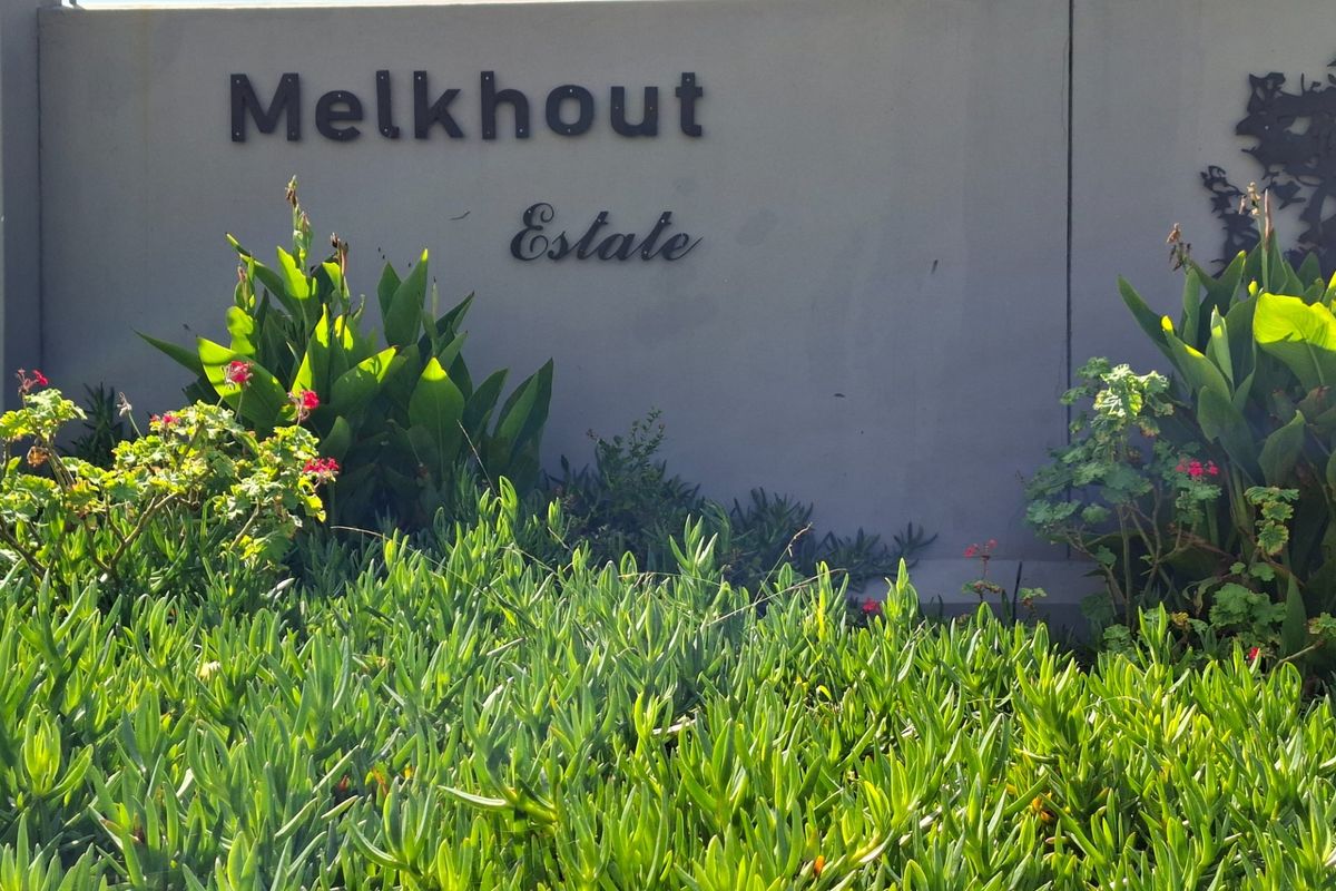 Contemporary Coastal Elegance  Brand-New Home in Melkhout Estate - Photo 3