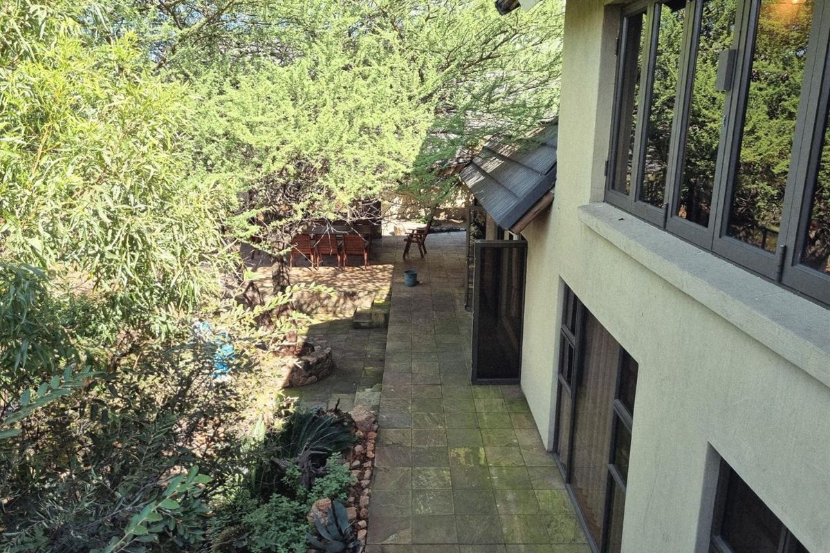 An elevated view of a paved rear patio area adjacent to the building, featuring mature trees and established garden landscaping.