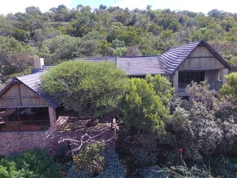 Aerial view of a farm-style residence featuring stone masonry, thatched roof sections, and a covered patio nestled within a lush, wooded landscape.