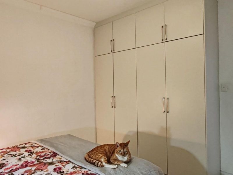 Charming 2-bedroom home in Observatory, Cape Town - Photo 8