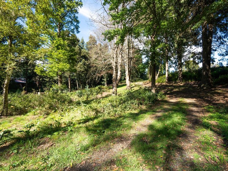 Peaceful dual living home with private waterfalls (furnished) - Photo 2