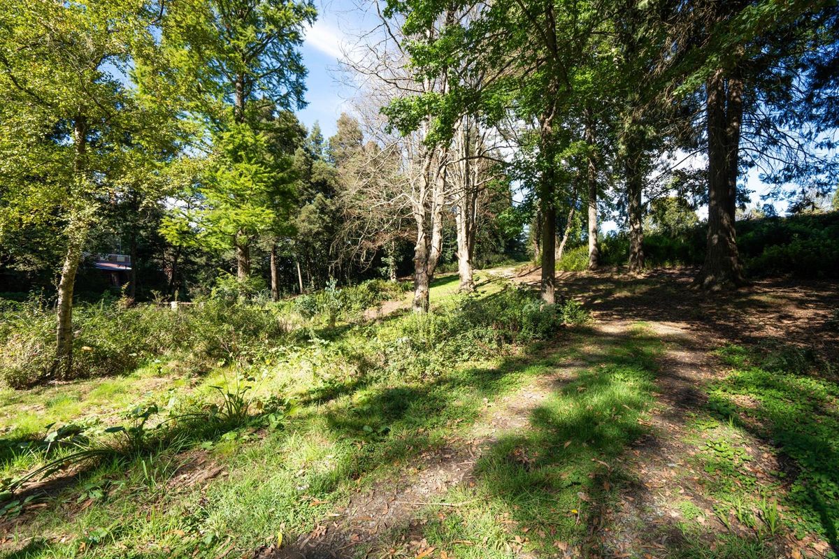 Peaceful dual living home with private waterfalls (furnished) - Photo 2