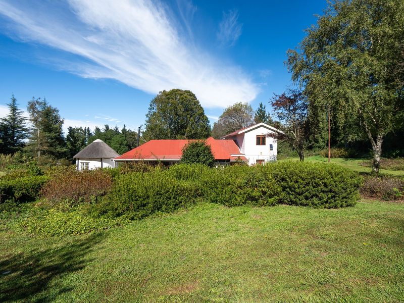 A view of the rear of the property featuring a combination of thatched and corrugated metal roofing set within a spacious garden.