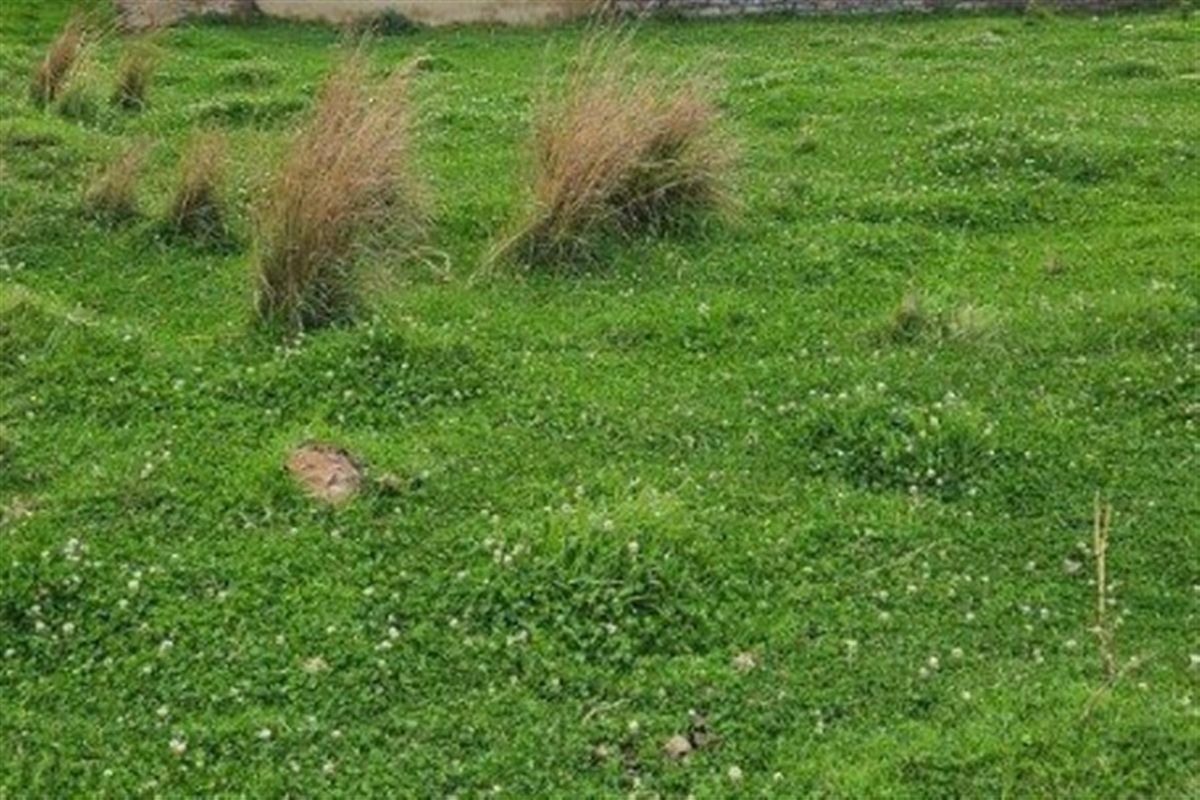 Vacant Land For Sale in Wilgenhof, Kroonstad - Photo 2