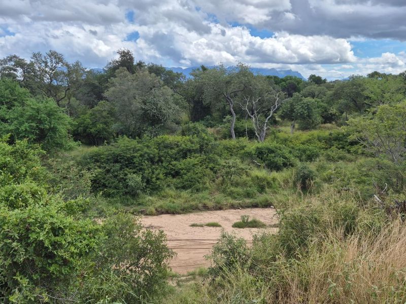 Your dream home in Leadwood Big Game Estate, Hoedspruit - Photo 6