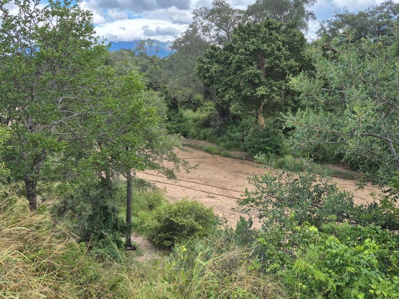 Your dream home in Leadwood Big Game Estate, Hoedspruit - Photo 10