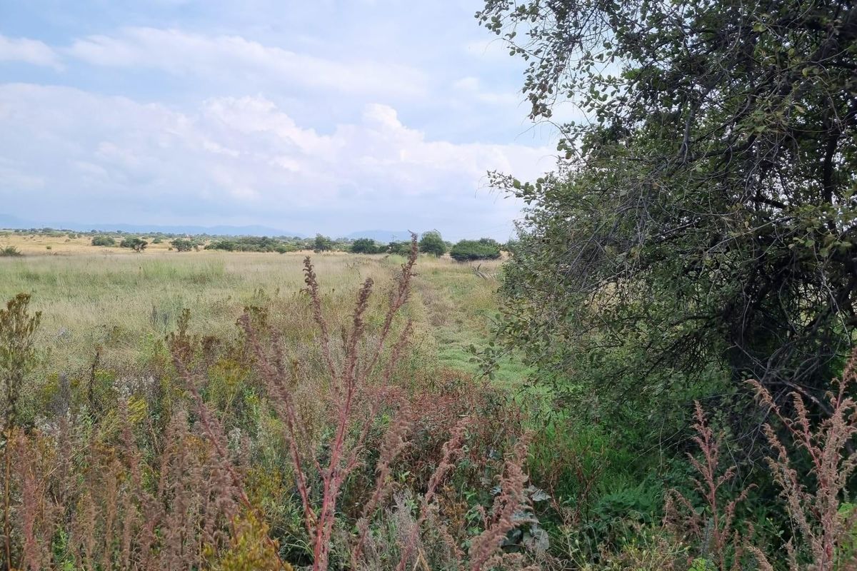 Vacant farm land for sale with endless potential - Photo 2