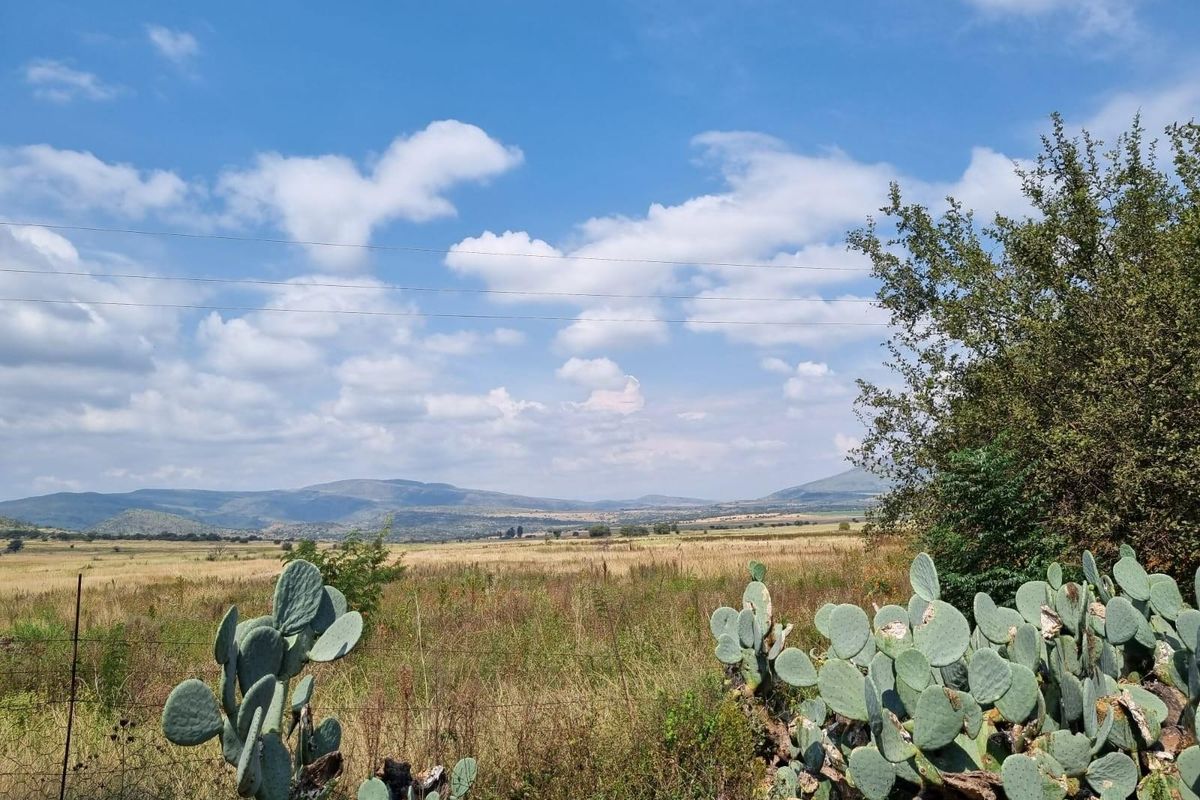 Vacant farm land for sale with endless potential - Photo 4