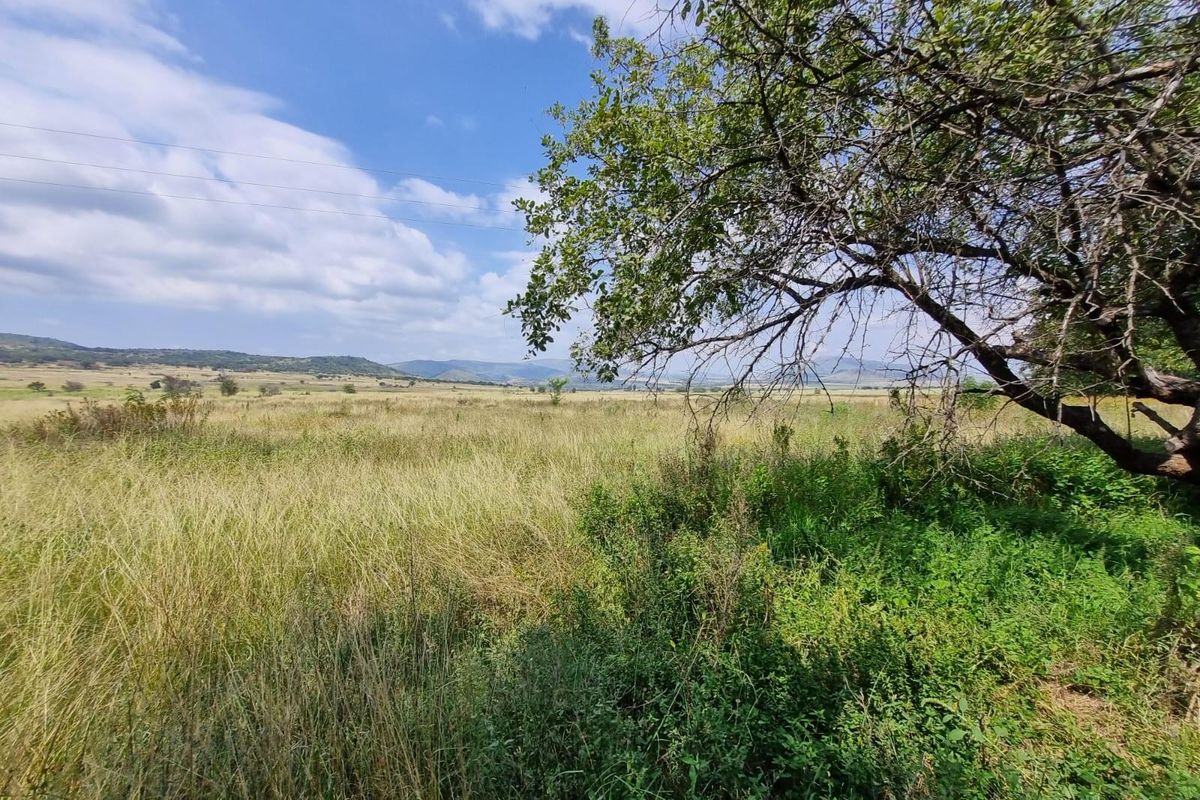 Vacant farm land for sale with endless potential - Photo 5