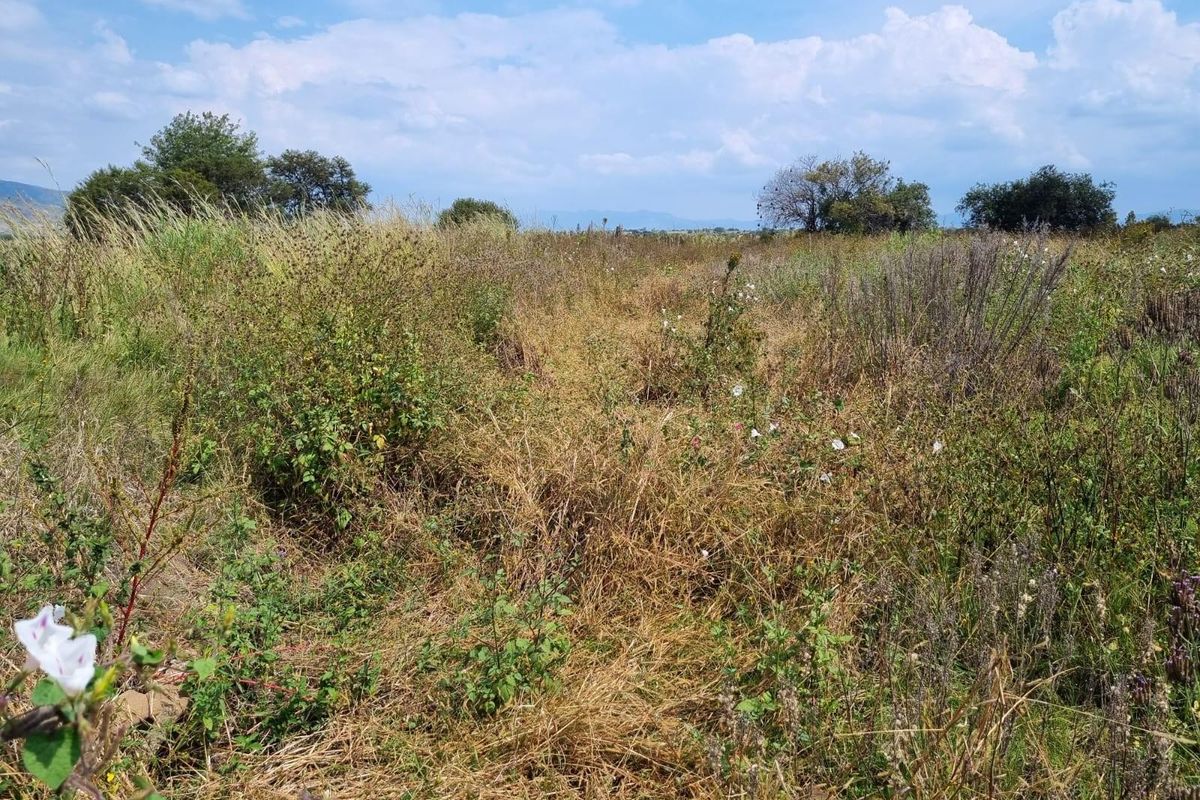 Vacant farm land for sale with endless potential - Photo 3