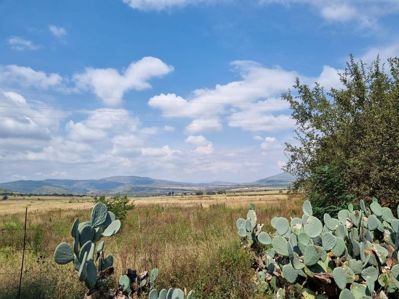 A scenic view of the expansive farm landscape featuring open fields, native vegetation, and distant mountains under a clear blue sky.