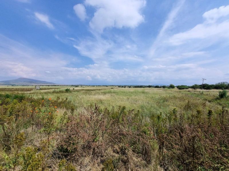 A wide-angle view of the expansive open landscape and natural grassland on the farm property under a clear blue sky.