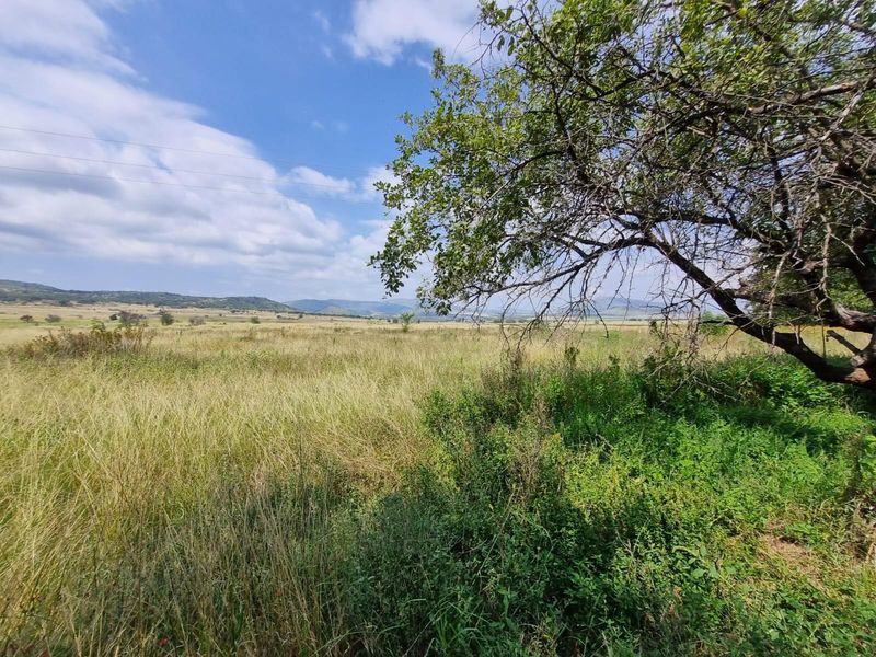 A scenic view of the expansive farm landscape featuring natural grasslands and distant hills under a clear blue sky.