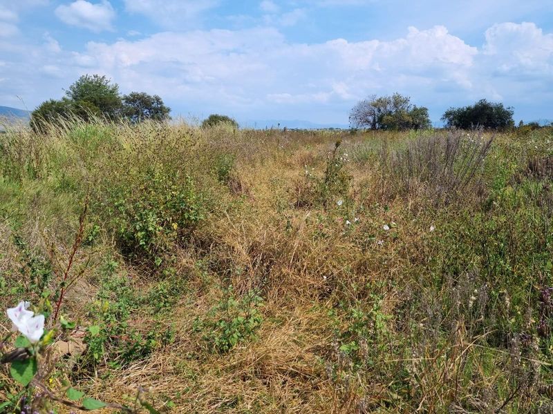An expansive, undeveloped plot of land featuring natural wild vegetation and open fields under a clear blue sky.