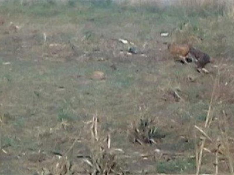 VACANT LAND FOR SALE IN HOSPITAAL PARK, ODENDAALSRUS - Photo 2