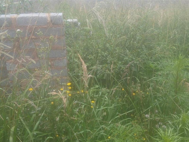 VACANT LAND FOR SALE IN HOSPITAAL PARK, ODENDAALSRUS - Photo 3