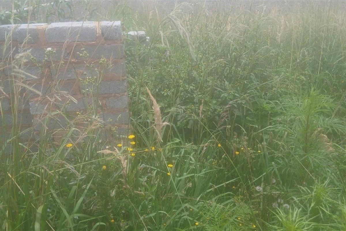 VACANT LAND FOR SALE IN HOSPITAAL PARK, ODENDAALSRUS - Photo 3