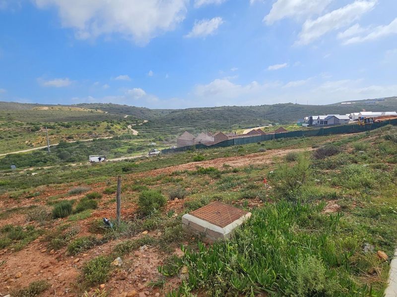 A view of a vacant residential plot featuring natural vegetation, a concrete curb, and a utility access cover.