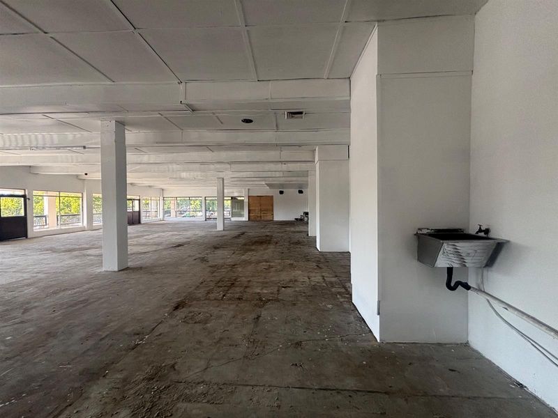 Expansive open-plan retail space featuring a suspended ceiling, large windows for natural light, and a functional wall-mounted utility sink.