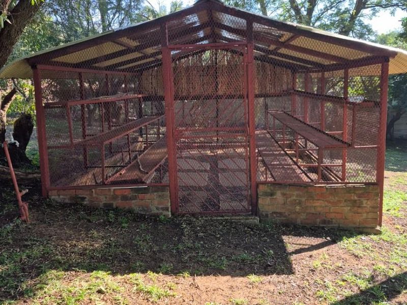 A functional outdoor utility enclosure or aviary featuring a brick base, metal mesh walls, and internal metal shelving.