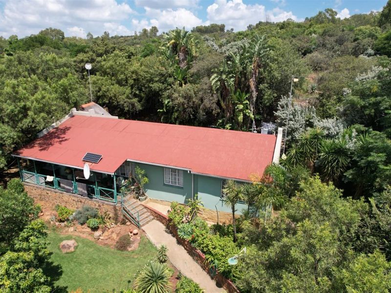 Aerial view of a farm-style dwelling featuring a red corrugated metal roof, solar panel, and a covered veranda set within a lush, wooded landscape.