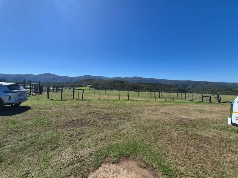 Farm with spectacular view for sale - Photo 5