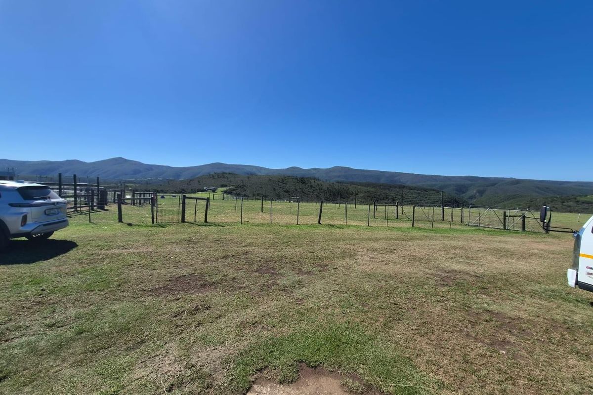 Farm with spectacular view for sale - Photo 5