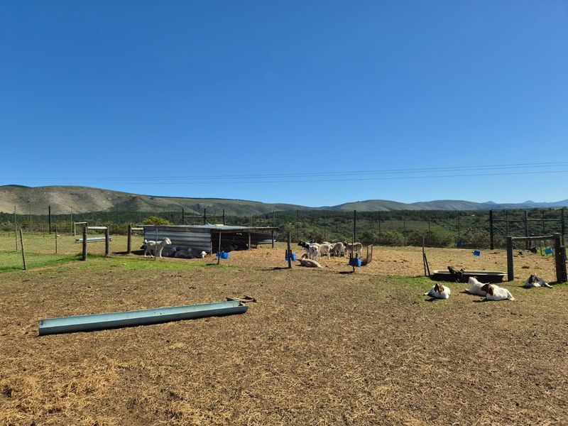 Farm with spectacular view for sale - Photo 10