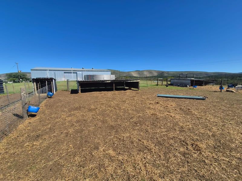 Farm with spectacular view for sale - Photo 7