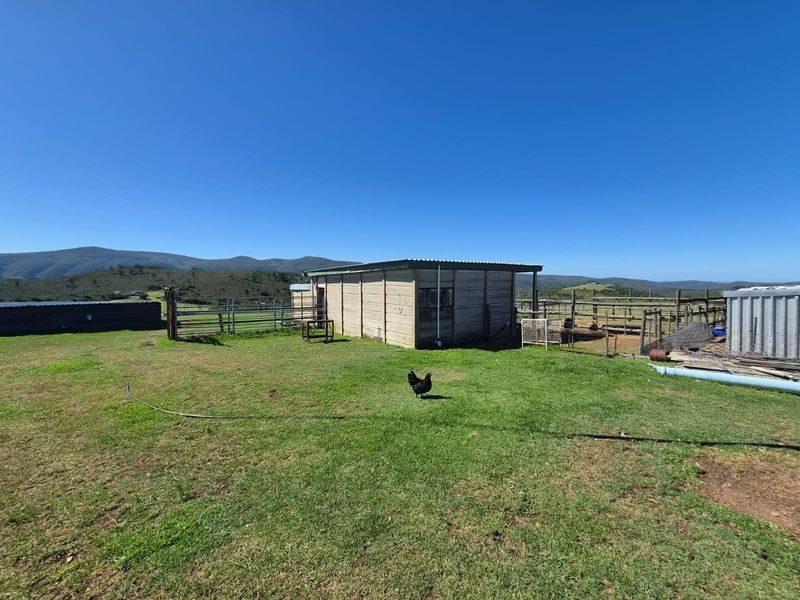 Farm with spectacular view for sale - Photo 6